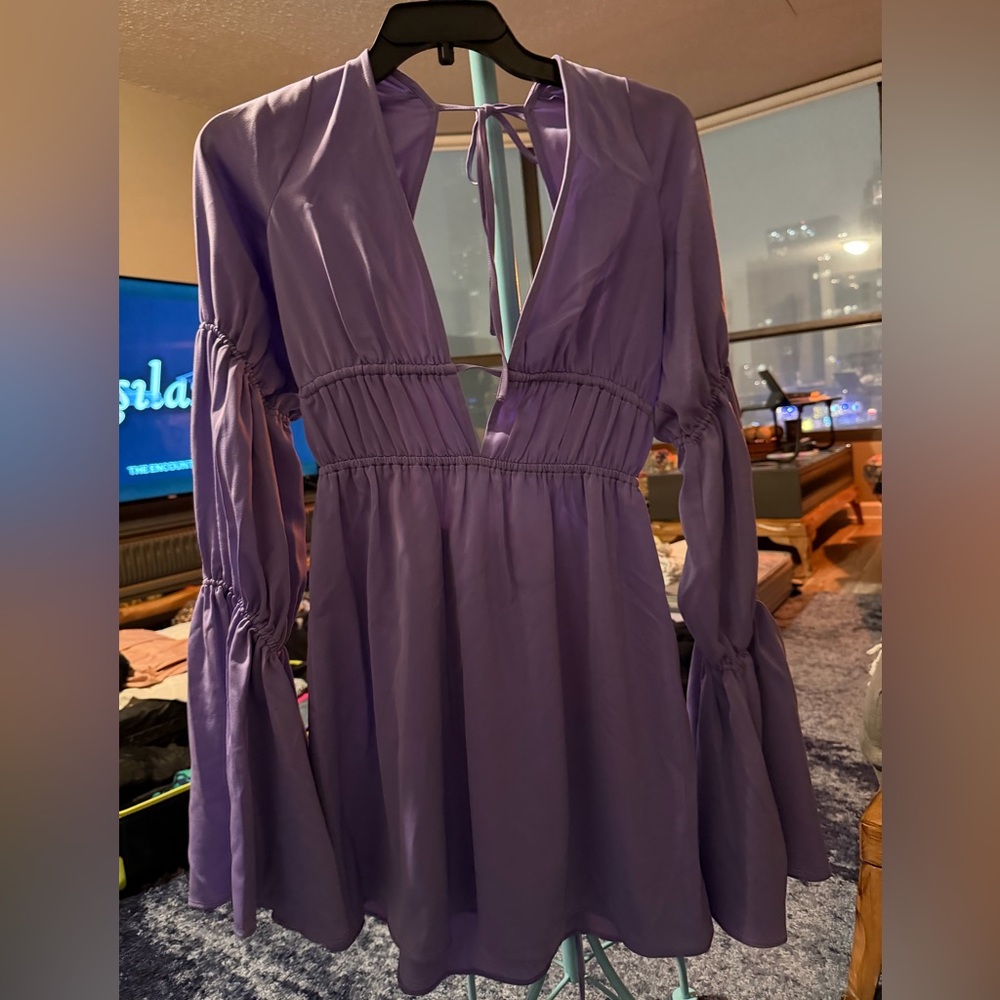 WeWoreWhat Purple Dress